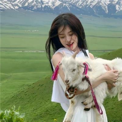 名侦探柯南：犯人犯泽先生